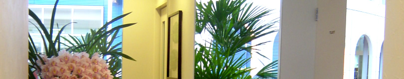 愛知県、歯を抜かない矯正治療（非抜歯矯正）、矯正専門歯科医院